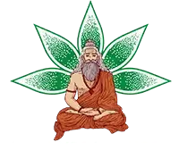 India Yoga School 